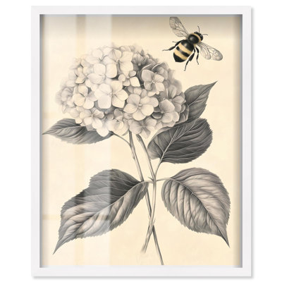 «Hydrangea and Bee I Shadowbox», art floral rétro par Art Remedy, cadre blanc, 36 x 45