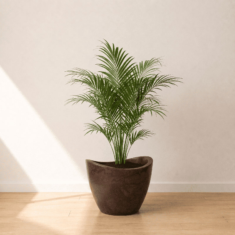 Pot à fleurs rond Vinisha ECOBO EcoFriendly, H 11,8 po x l 15,8 po x P 15,8 po, Brun