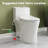 One Piece Toilet with Non-Electric Bidet Toilet Seat, Elongated ADA Chair Height Toilets with Adjustable Nozzles Seat, Powerful Dual Flush & Soft Closing Seat Include