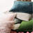 Parisienne Velvet Evergreen Quilted Sham-53211611