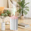 Humidificateur coloré pour petits brouillards-130185044