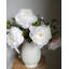 Pivoine blanche 19,5 po-1423334598
