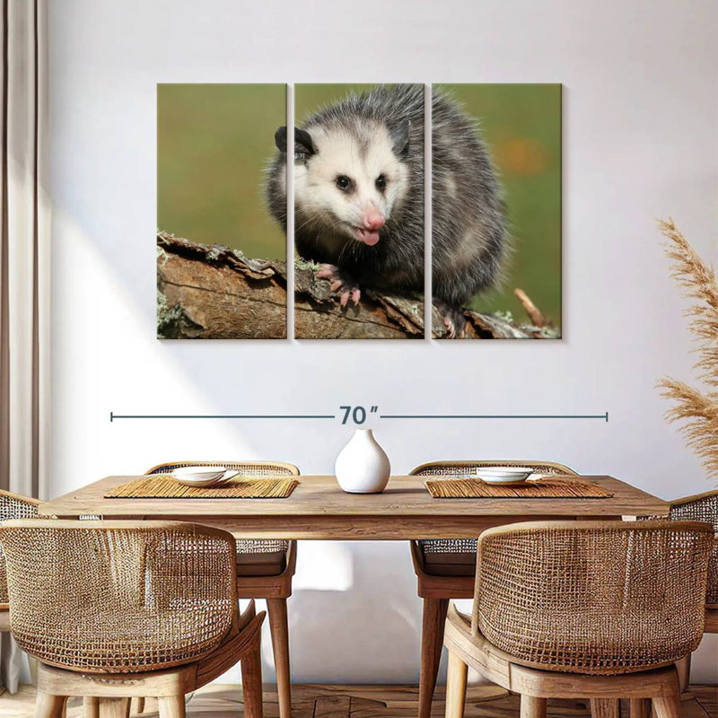Bramble Angry Opossum, H 36 po x l 57 po