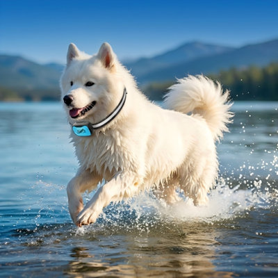 Solution de confinement pour animaux dans le sol, livrée avec un cordon de 656 pi, 2 colliers imperméables rechargeables, pouvant accueillir des chiens de petite, moyenne et grande taille