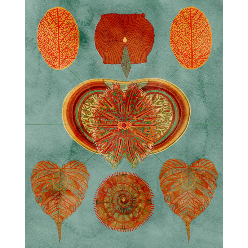 Wrapped Canvas Print, 121.92 cm H x 81.28 cm W