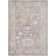 Oriental Indoor Rug