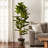 Artificial Fiddle Leaf Fig Tree - 6FT Fake Plant with Pot and Natural Feel Leaves for Home or Office Decor - Artificial Plants Indoor