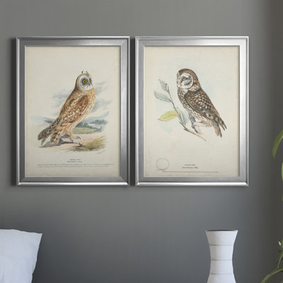 " Hawk Owl " 2 - Pieces Painting Print