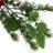 Elize 62'' in. Faux Garland-1058683740