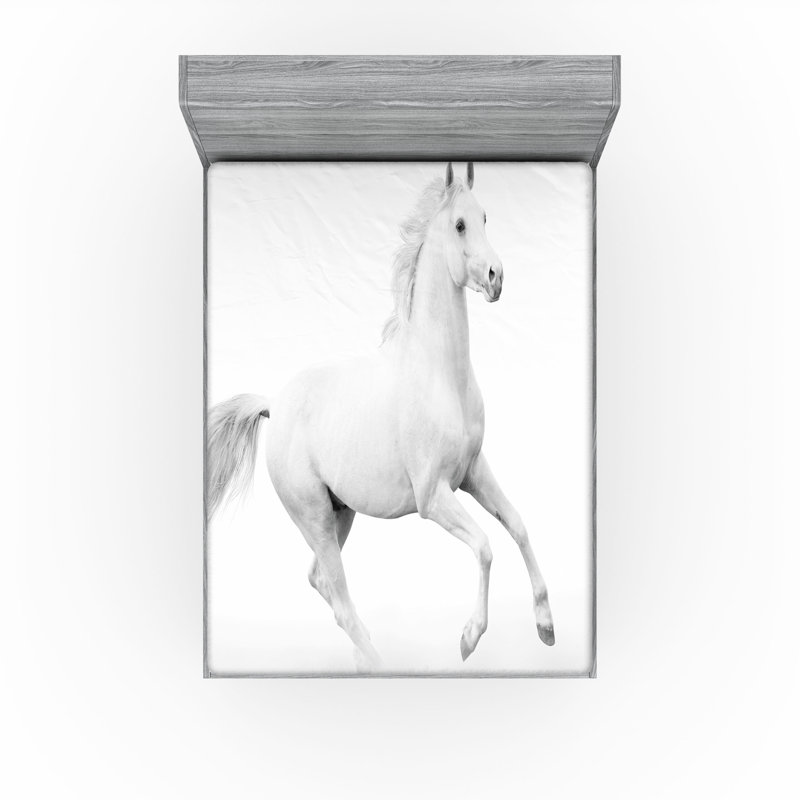Drap-housse Ambesonne