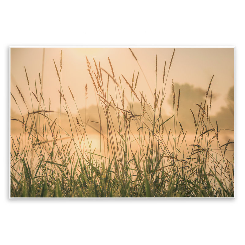 «Grassy Country Reeds» par Marty Hulsebos, H 13 po x l 19 po