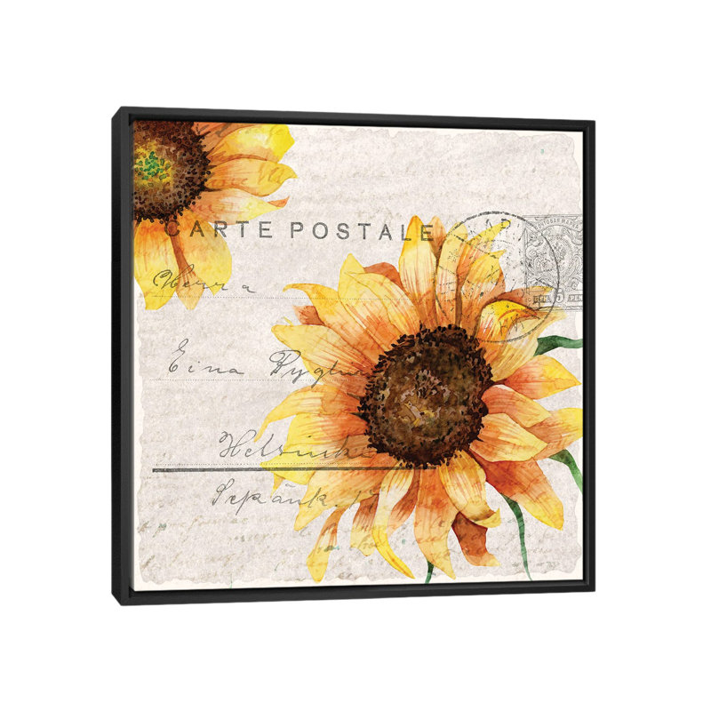 Sunflower Postcard II by Kimberly Allen - Print on Canvas