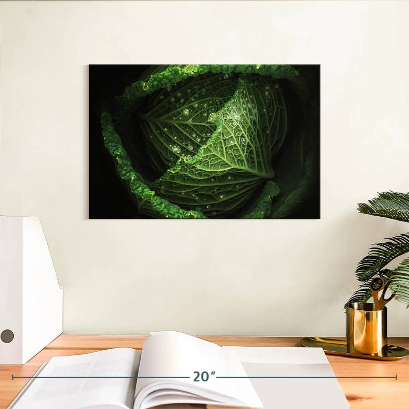 Yarlin Cabbage, 8" H x 12" W