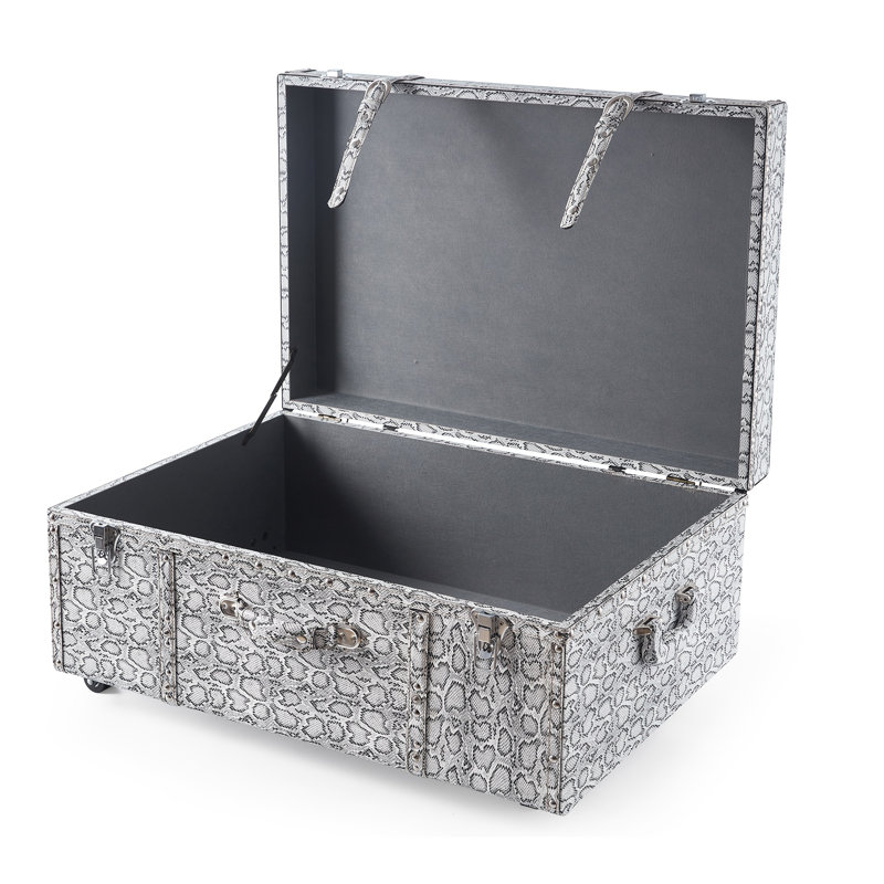 Texture Brand Trunk - Silver Snakeskin