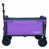 Purple est en rupture de stock
