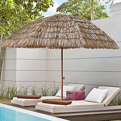 Parasol Thatch