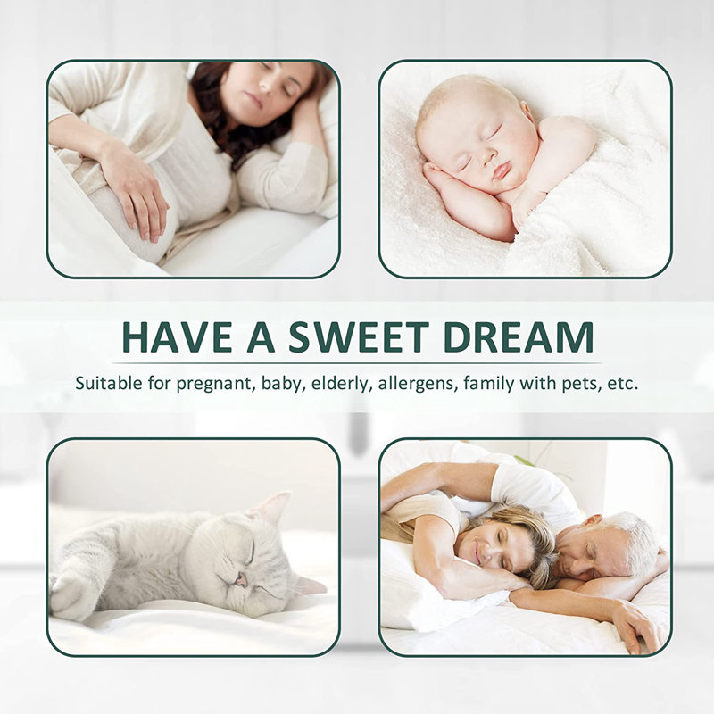 Mitzy Waterproof Fitted Mattress Protector Mattress Protector Case Pack, Queen