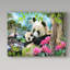 Reproduction d’art sur toile tendue deux panda-26859898