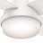 Ceiling Fan with LED Lights-84707494
