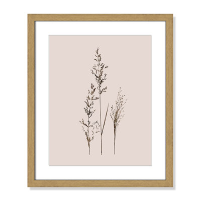 Delicate Stems I by Carol Robinson - Single Picture Frame Print -  Birch Lane™, 9813D169080E4FDA83B826025D7345F5