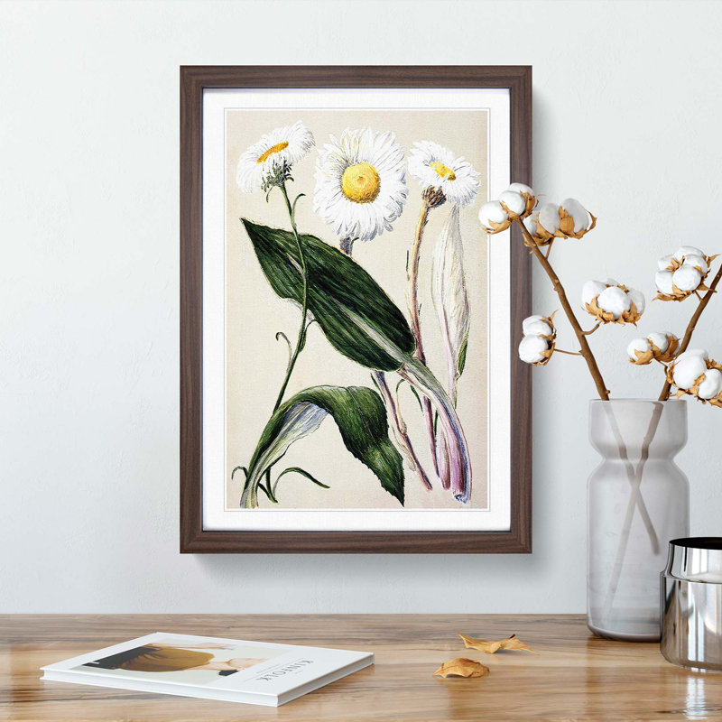 Mountain Daisies by Sarah Featon - Picture Frame Painting Print, Walnut Framed, 48cm H x 36cm W x 2cm D