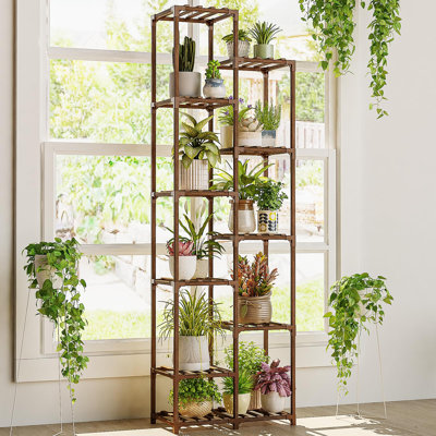72 po de hauteur pour plante d'intérieur