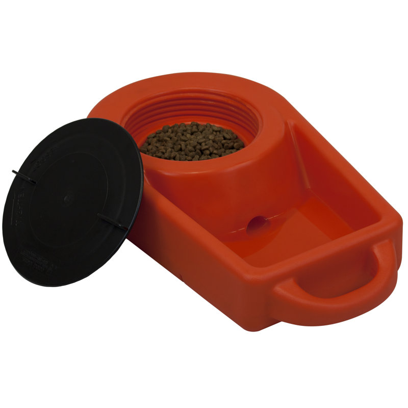 Bol d'alimentation Dakine 283 Dine N Dash, Orange