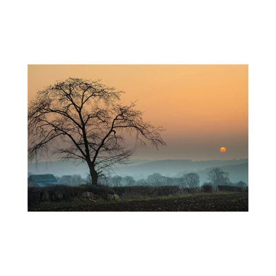 Morning Sun by Adelino Goncalves - 1 Piece Wall Art on Canvas