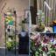 Symple Stuff Grow Light