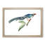 Chinese Cuckoo by George Shaw - Picture Frame Painting Print-55621284-55621286
