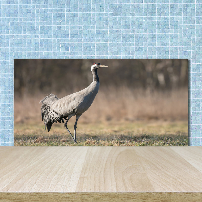 50cm W x 100cm L Glass Peel and Stick Panel