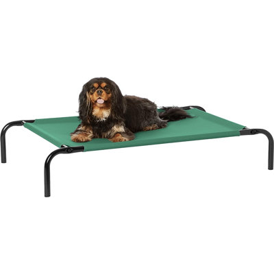 Lit pour chien surélevé Cooling avec structure en métal, petit, 36 x 22 x 7,5 pouces, vert