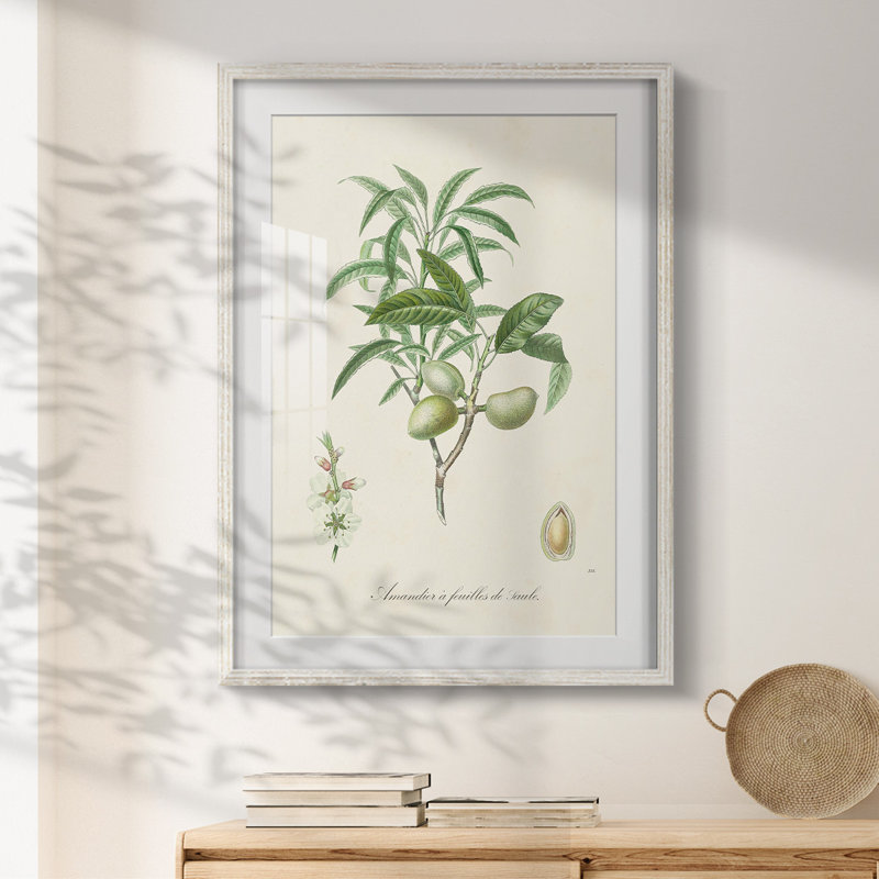 Bosco -Gallery Wrapped Canvas