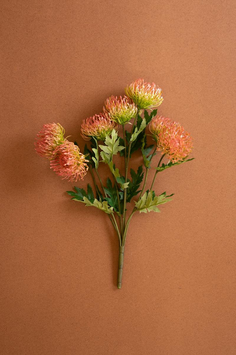 Protea Floral Stems