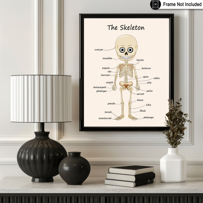 Le squelette, Unframed, Poster, 16"H x 20"W