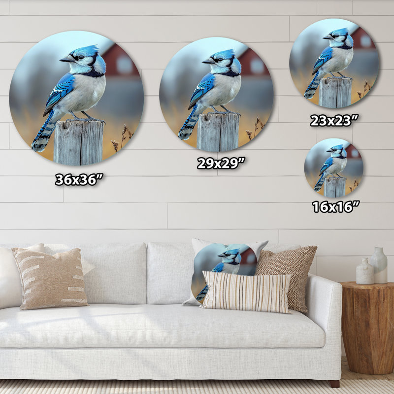 Jordina - oiseau rond, impression murale en métal bleu moderne, H 16 po x l 16 po