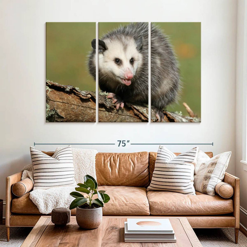 Brampt Angry Opossum, 42" H x 65" W