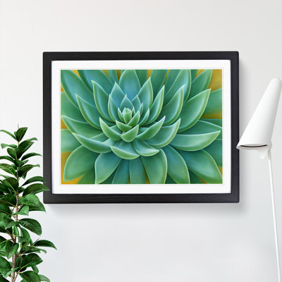 Soulful Succulent Plant - Framed Print