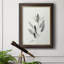 «Delicate Sage Botanical IV», peinture sur toile encadrée-1433696964