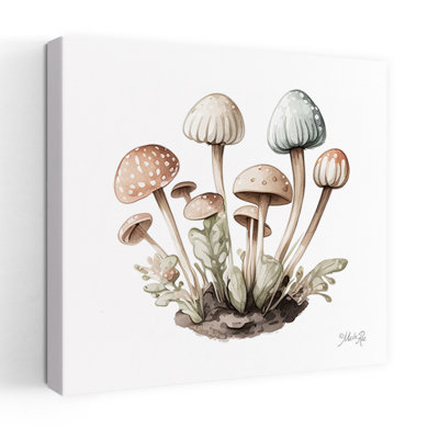 Mellow Mushrooms Contemporary Nature Architecture Art