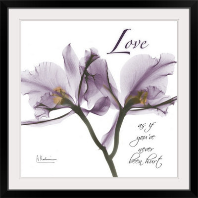 «Orchid Love X-Ray» par Albert Koetsier, reproduction de photo