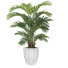 Grand palmier 68 po en pot