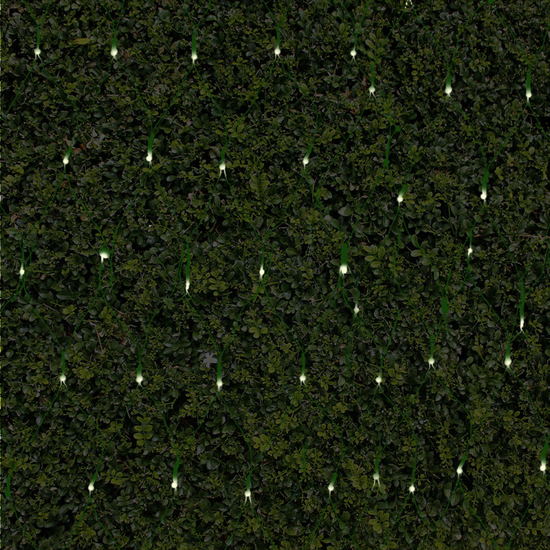 Twinkle Net Lights