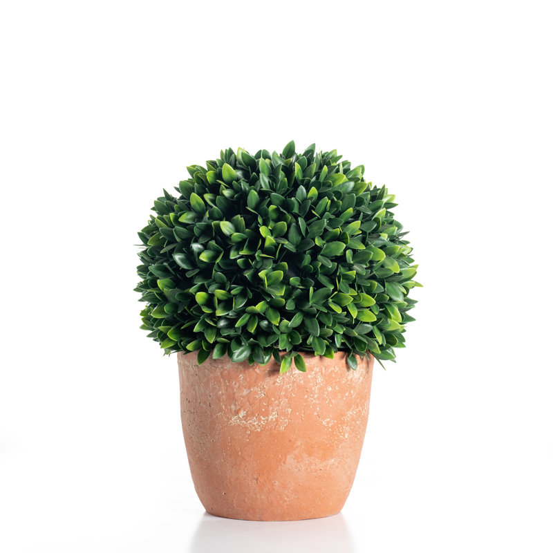 Aaru 42cm Faux Evergreen Topiary, 42cm x 30cm