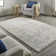 Ambrette Abstract Indoor Rug