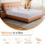 15/18/20/25 cm Medium-Firm Memory Foam Mattress, Breathable Cover, Rolled In-A-Box, No Fiberglass, No Noise Sleep-122435122-122435124