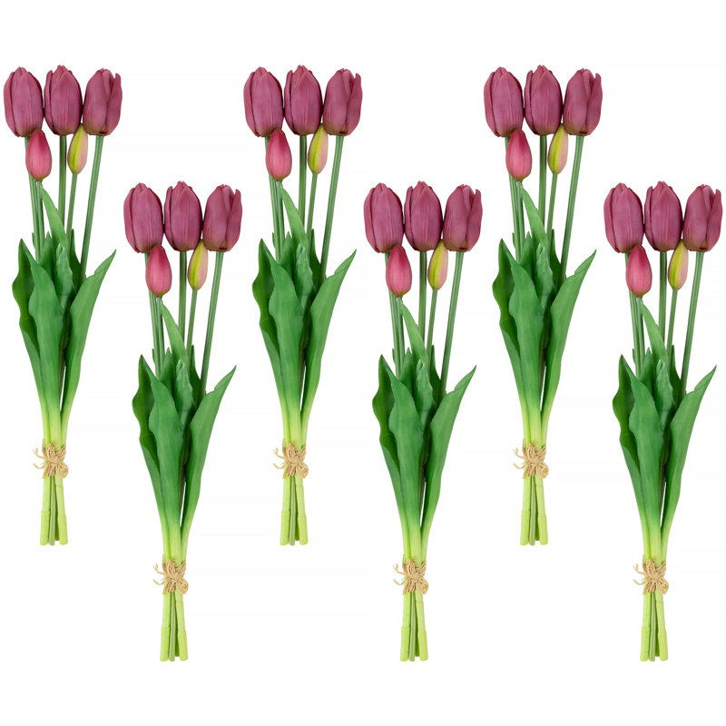 Tulip Arrangement