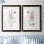«Wildflower Botanical I», ensemble de 2 reproductions d'art-808463900-923653541-808463890