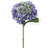18" Hydrangea Stem - 6 Pack