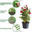 Support pour plantes Oralene